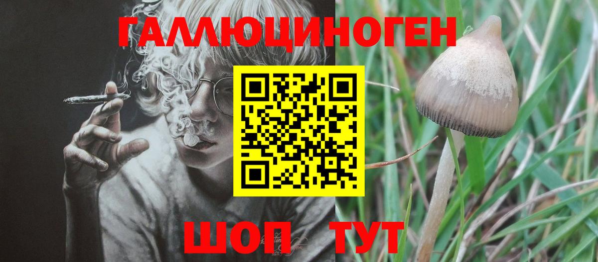 Галлюциногенные грибы MAGIC MUSHROOMS  Вход с VPN  Донской  Псилоцибиновые грибы прущие грибы 