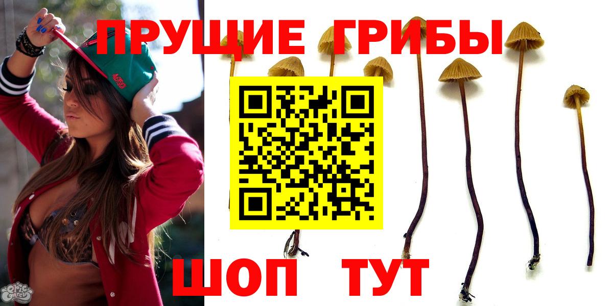 Галлюциногенные грибы Psilocybe Донской